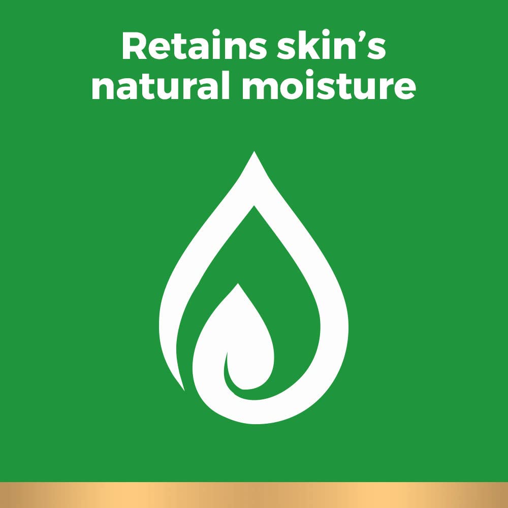 Irish Spring 5 in 1 Body Wash for Men, Fresh Eucalyptus & Bergamot, 887 mL