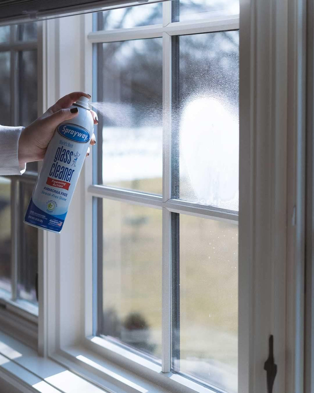 Sprayway Glass Cleaner Foaming Aerosol Spray, 19oz, Pack of 2 | Ammonia-Free, Streakless, Fast-Acting | Cleans & Polishes Glass Surfaces | Fresh Scent, Removes Fingerprints, Dust, Dirt, Smoke Film