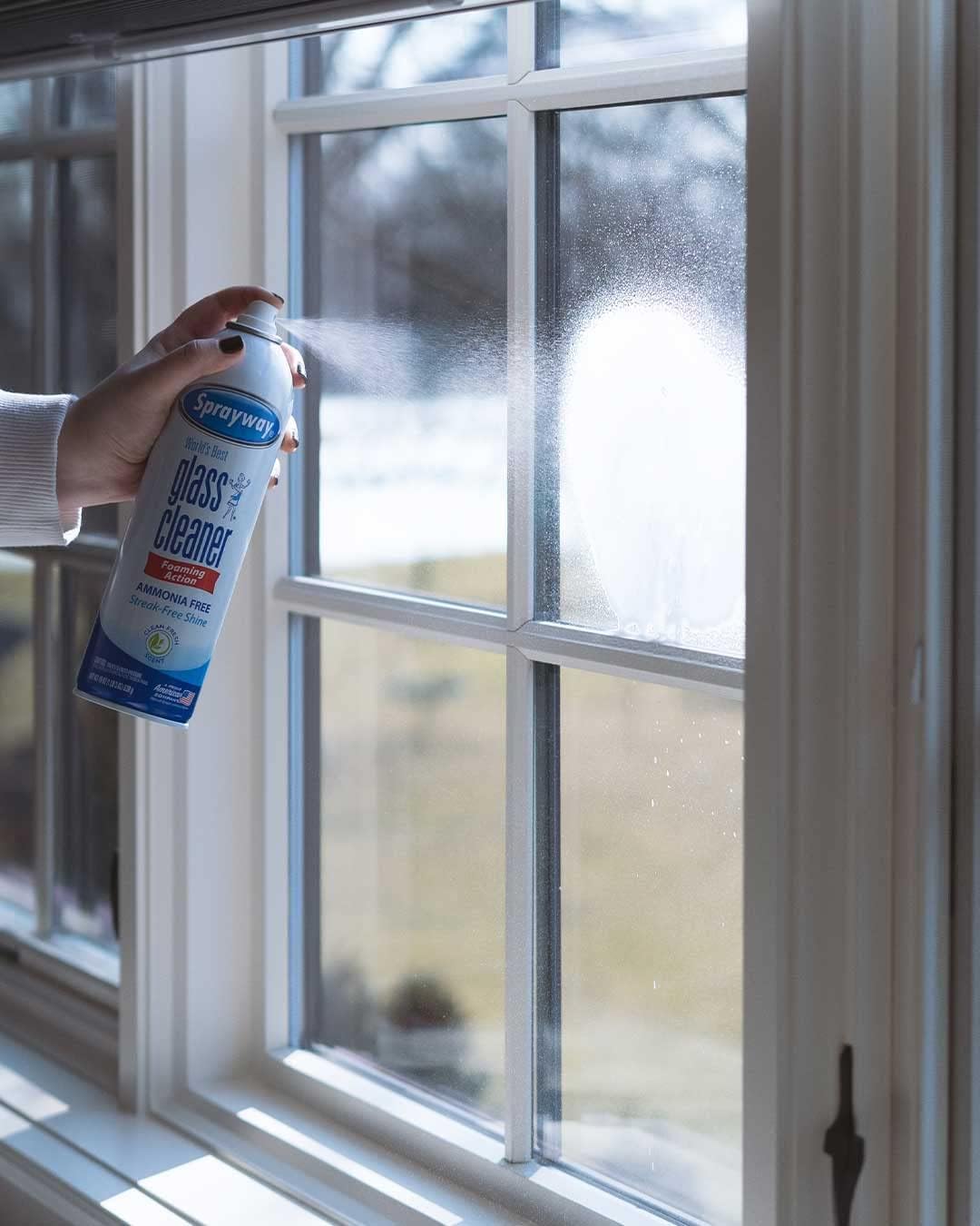 Sprayway Glass Cleaner Foaming Aerosol Spray, 19oz, Pack of 2 | Ammonia-Free, Streakless, Fast-Acting | Cleans & Polishes Glass Surfaces | Fresh Scent, Removes Fingerprints, Dust, Dirt, Smoke Film