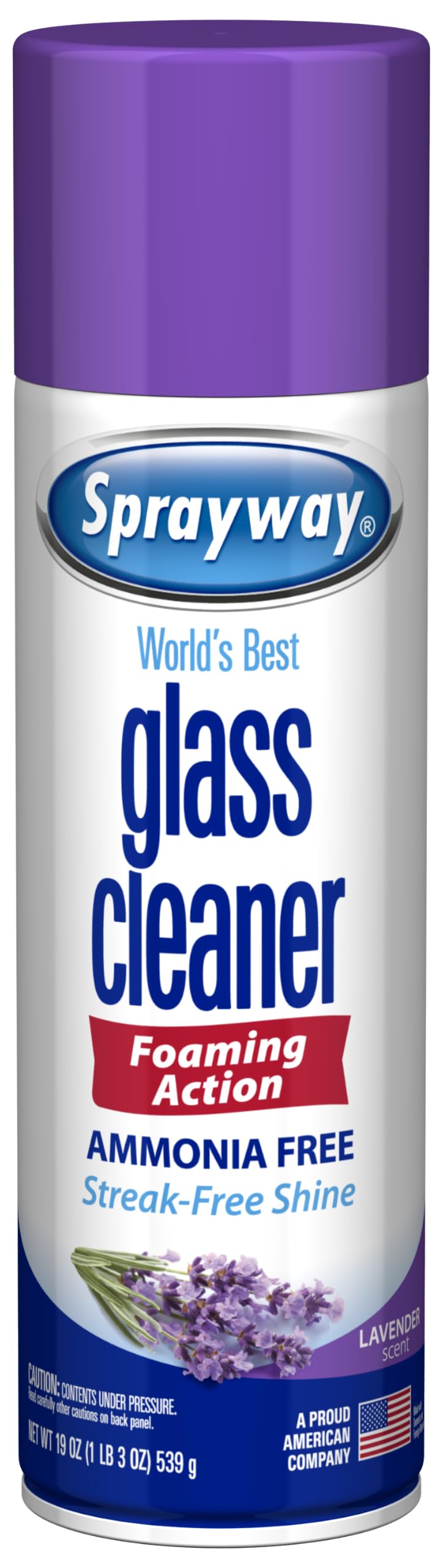 Sprayway Glass Cleaner Foaming Aerosol Spray, 19oz, Pack of 2 | Ammonia-Free, Streakless, Fast-Acting | Cleans & Polishes Glass Surfaces | Fresh Scent, Removes Fingerprints, Dust, Dirt, Smoke Film