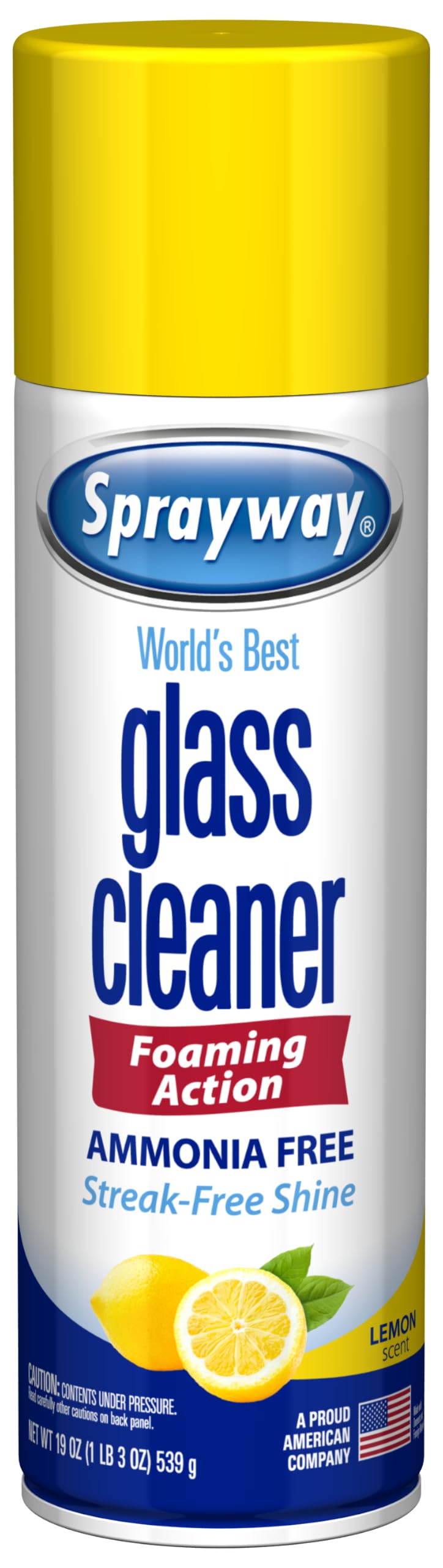 Sprayway Glass Cleaner Foaming Aerosol Spray, 19oz, Pack of 2 | Ammonia-Free, Streakless, Fast-Acting | Cleans & Polishes Glass Surfaces | Fresh Scent, Removes Fingerprints, Dust, Dirt, Smoke Film