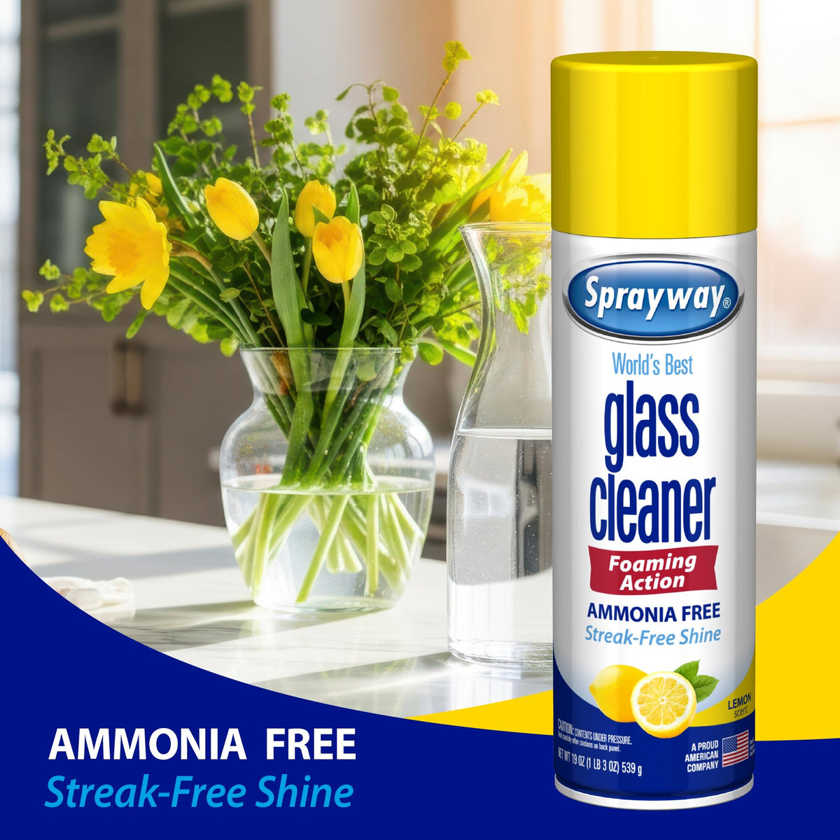 Sprayway Glass Cleaner Foaming Aerosol Spray, 19oz, Pack of 2 | Ammonia-Free, Streakless, Fast-Acting | Cleans & Polishes Glass Surfaces | Fresh Scent, Removes Fingerprints, Dust, Dirt, Smoke Film