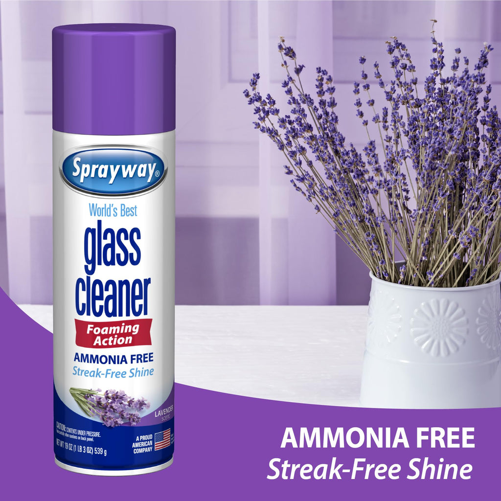 Sprayway Glass Cleaner Foaming Aerosol Spray, 19oz, Pack of 2 | Ammonia-Free, Streakless, Fast-Acting | Cleans & Polishes Glass Surfaces | Fresh Scent, Removes Fingerprints, Dust, Dirt, Smoke Film